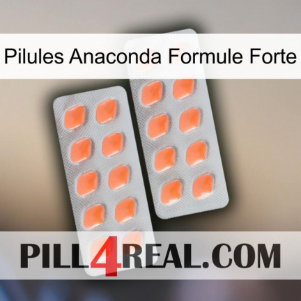 Anaconda Strong Formula Pills 27